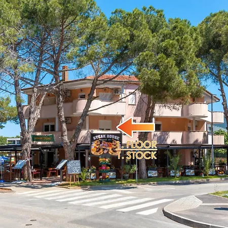 Senad - Mali - Mpolo *